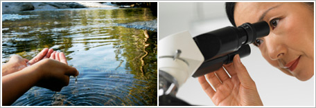 Research and Development at Industrial Ecology