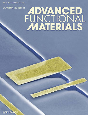 The cover of Advanced Functional materials with a colorized SEM image of a 3D structure 