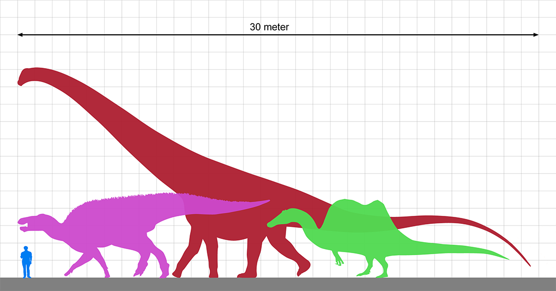 En tecknad bild som visar storleksskillnaden mellan en människor och några av de största dinosaurierna som funnits på vår planet.