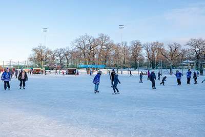 Many skaters at Östermalm's IP.