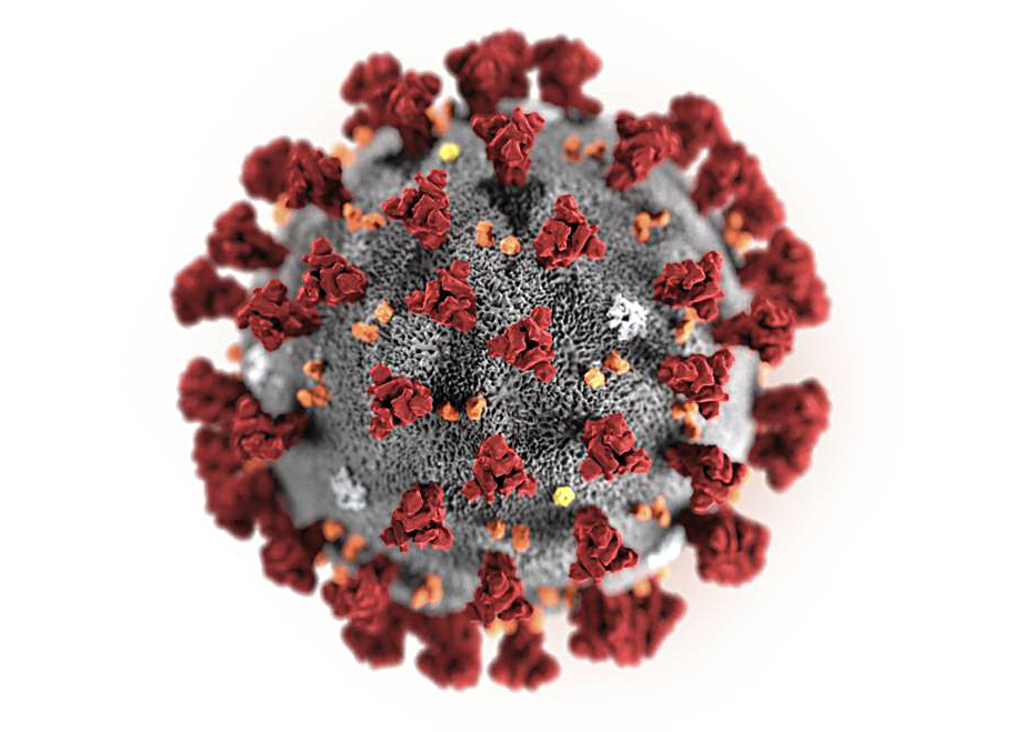 Bild på det nya coronaviruset. 