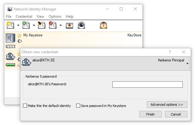 Network Identity Manager (NIM)